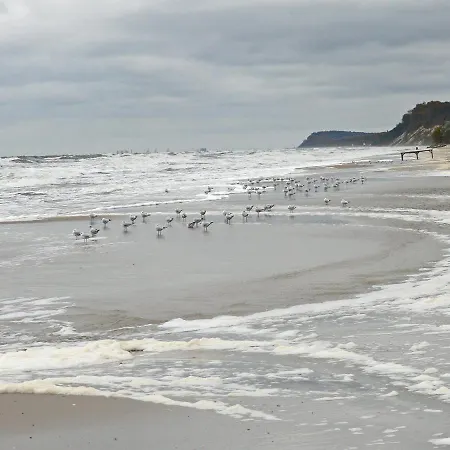 Bernsteinhaus Wohnung Usedom Kölpinsee Zewnętrze zdjęcie
